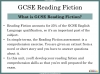 GCSE English Language Reading Comprehension Skills Teaching Resources (slide 3/43)